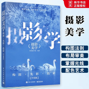 升级版 电子工业出 构图法则构图元 正版 布局人像画面设计与美姿测光与曝光驾驭光线 构图光影色彩 素 基础入门书籍 美学