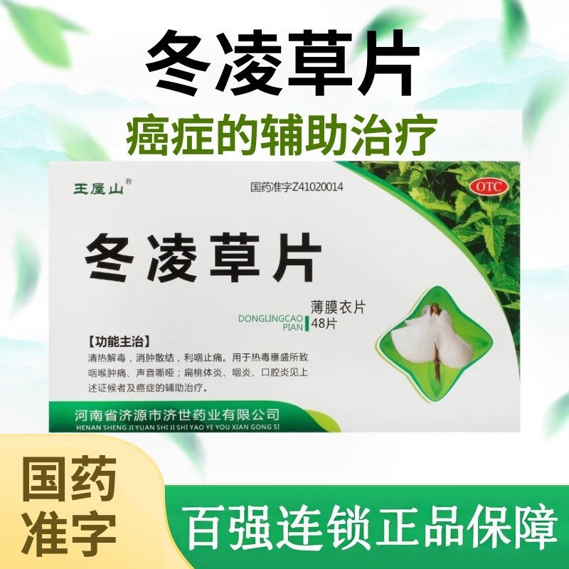 辅助治疗癌症 清热解毒