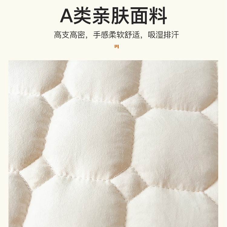 床垫软垫家用单人学生宿舍薄款防滑垫褥子夏季席梦思保护垫隔脏