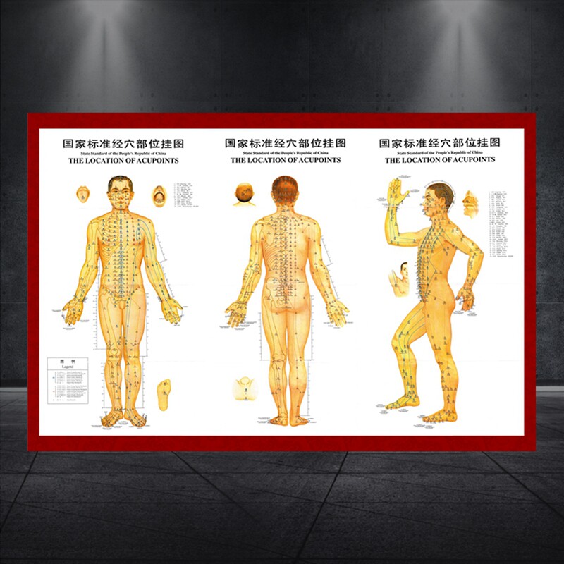 人体穴位图国家标准经穴部位图 病症主治经络图理疗图高清挂图660
