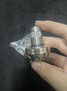 议价议价XSW-T1710-PL 1908L0069 喷头 全新原装现货议价议价