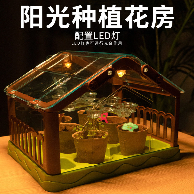 儿童种植阳光房学生种花加大