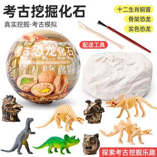 恐龙化石霸王龙骨架模型儿童手工diy制作挖盲盒男孩 考古挖掘玩具
