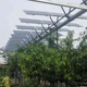 定制2023广东茂名330W单晶硅9线太阳能板 并网分布式 光伏电站电池
