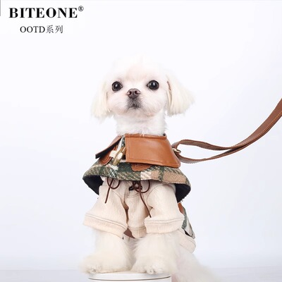 BITEONE猫狗秋冬高领百搭衣服