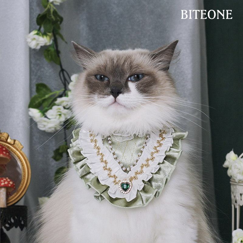 BITEONE 【绿野仙踪】L猫宠物服装/雨衣（新