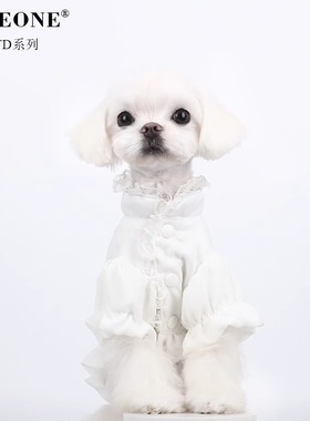 BITEONE【雨夜诗人】猫咪狗狗衣服秋冬新款百搭衬衫