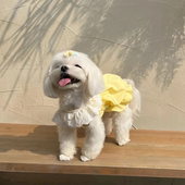 宠物猫咪夏季 可爱公主裙透气防掉毛适合布偶英短等宠物 薄款