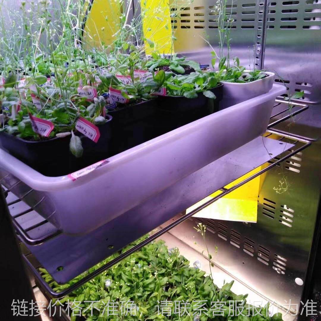 植物生长箱农作物培育模拟生长箱育苗箱内置光源无级可调仪器