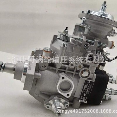 油泵196000-5710 119775-51920和0460416069和0460426528 5317366