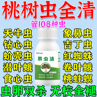 果树杀虫专用桃李树果园防虫药蚧壳钻心蚜虫蓟马天牛克星虫卵双杀