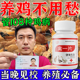 养鸡专用鸡病全冶禽一片鸭鹅黄白便闭眼呼噜怪叫萎靡瘫软禽类通用