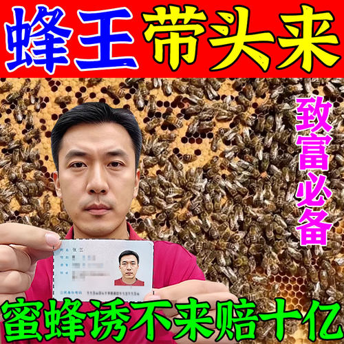 诱蜂膏正牌正品诱蜂神器蜂蜡野外引蜂招蜂专用强力诱蜂剂信息素w