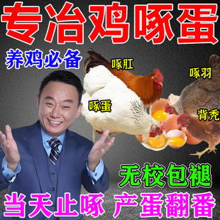 防止鸡啄蛋药神器止啄止咬灵专治互吃鸡蛋啄羽毛啄肛营养不良饲料