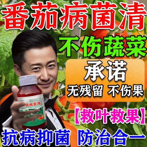 番茄病菌清西红柿病毒病专用防卷叶枯萎炭疽霜灰霉炭疽疫病药