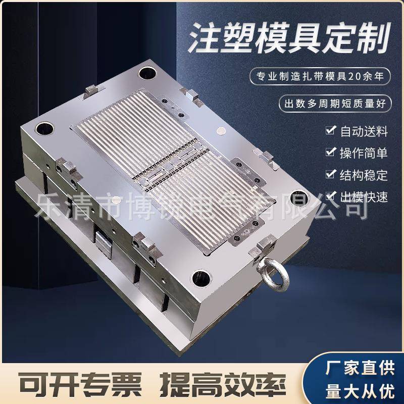 乐清博锐厂家直销尼龙扎带模具汽车扎带模具钢钉线卡模具封条模具