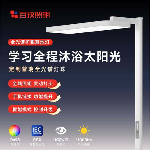 【旗舰款】百孜大路灯学习专用台灯儿童学生书桌旋转护眼灯钢琴灯