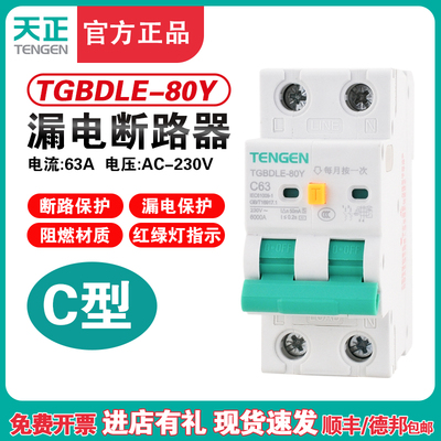 TENGEN天正TGBDLE-Y漏电断路器C型断路器空气开关漏保PV