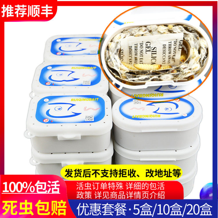 包邮葡萄蜜虫钓饵爬宠仓鼠玉米虫活体零食大蜡螟幼体鱼饵鸟虫粮食,宠物/宠物食品及用品,爬虫/鸣虫食物,淘宝优惠券,粉丝福利购,淘宝优惠卷