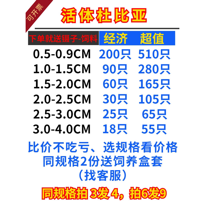 爬视界杜比亚蟑螂幼体成体蜥蜴鬃狮龙鱼仓鼠刺猬金丝熊画眉活饲料
