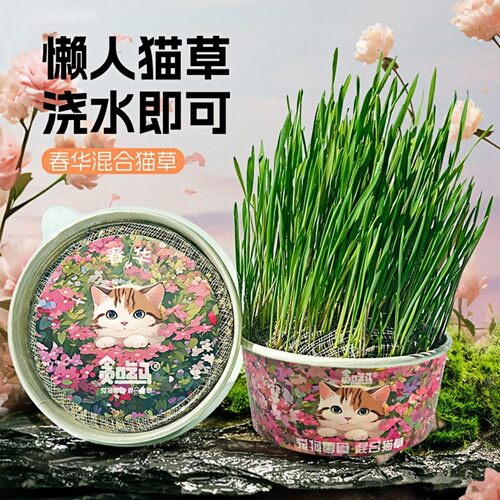 懒人猫草罐头盆栽小麦种子水培种植罐装猫咪用品宠物零食春猫草