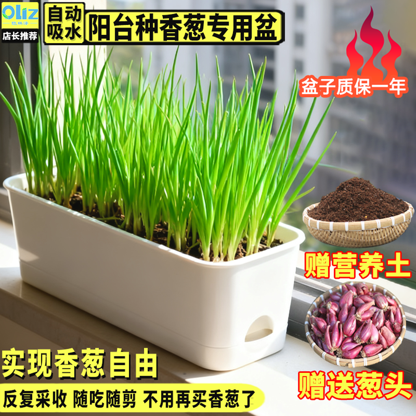 阳台种葱专用盆自吸水家用种菜盆