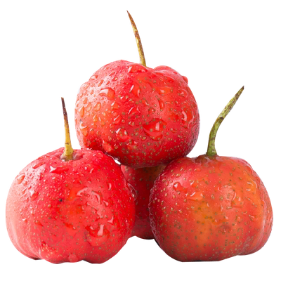 新鲜山楂鲜果冰糖葫芦山楂专用