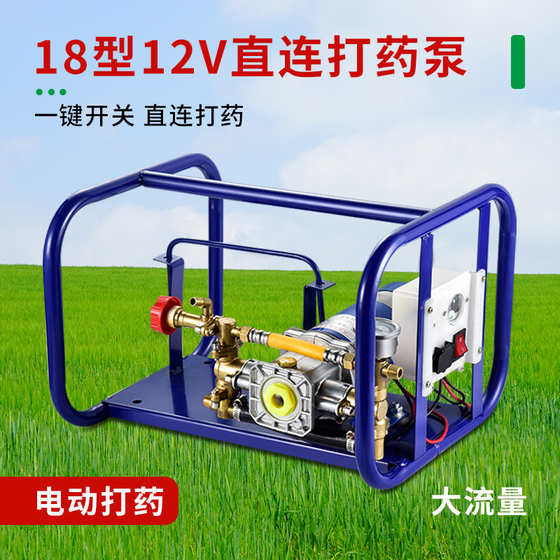 手提式打药机农用电动果树喷雾器12V 伏电瓶充电高压双缸柱塞药泵