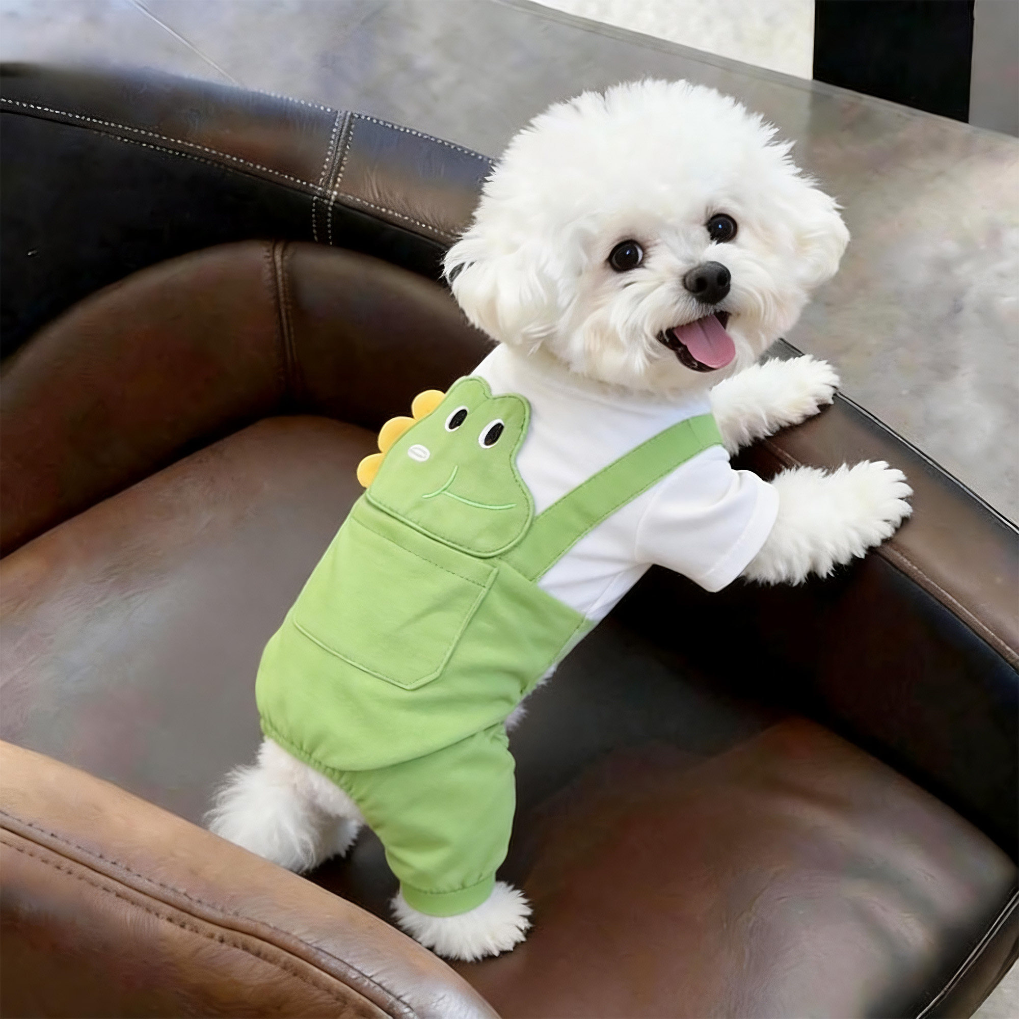 狗狗衣服秋冬装恐龙背带裤泰迪比熊雪纳瑞小型幼犬猫咪宠物四脚衣