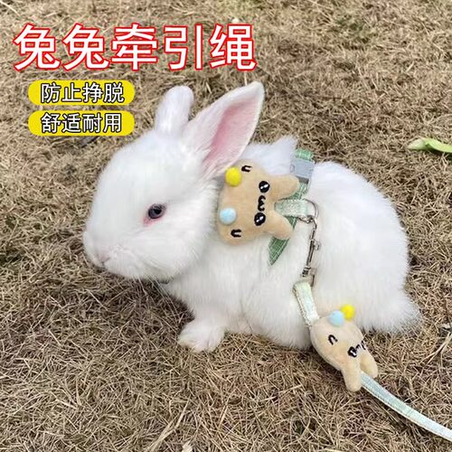 兔子牵引绳可调节防挣脱兔绳
