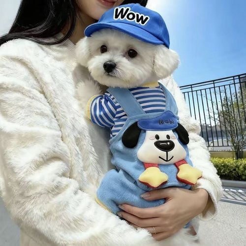 狗狗衣服秋冬装新款加厚泰迪比熊博美小型犬保暖可爱四脚衣可牵引