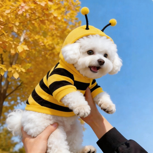 狗狗衣服春秋款蜜蜂装小柯基泰迪比熊贵宾小型犬宠物保暖猫咪卫衣