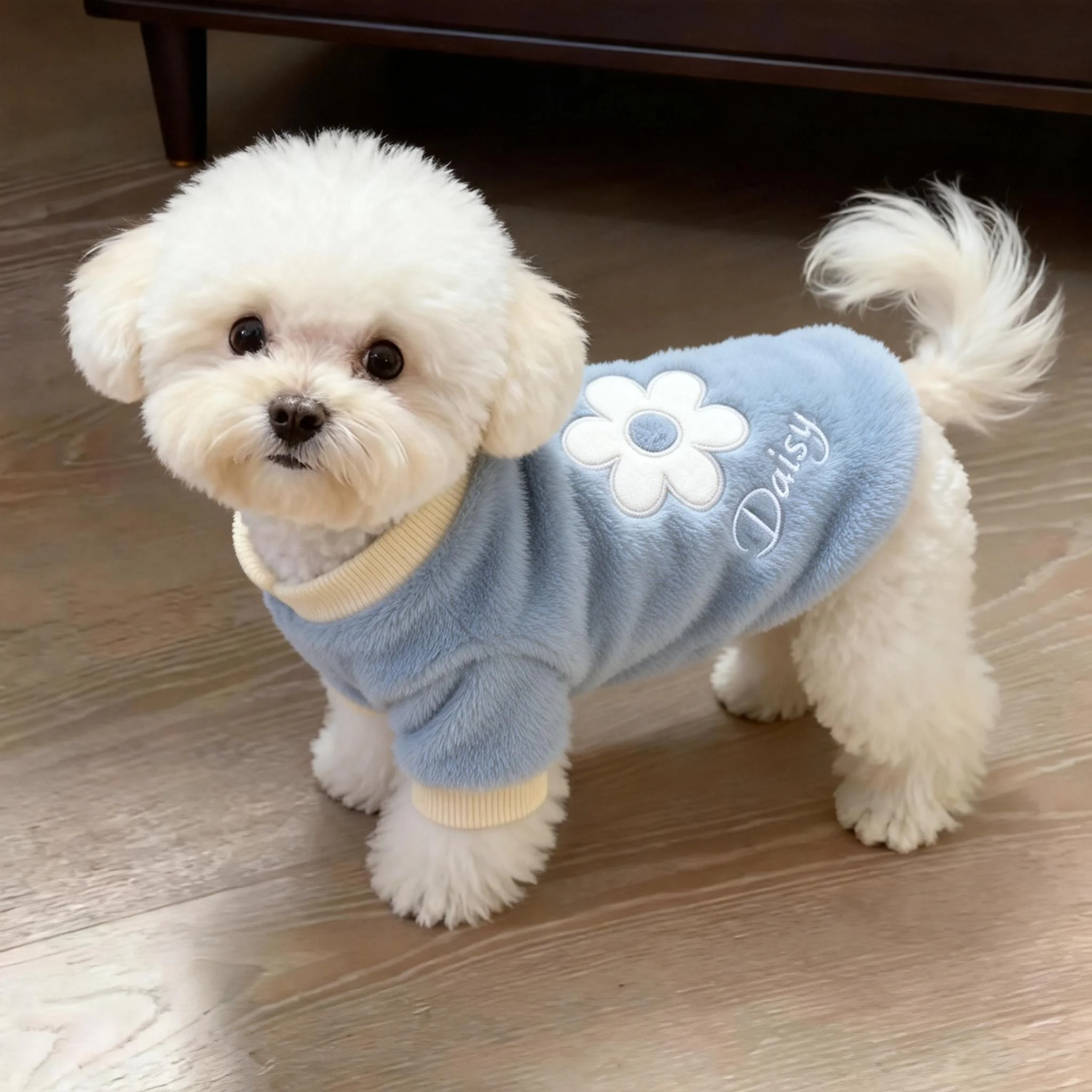 狗狗衣服秋冬装花朵卫衣泰迪比熊小型犬猫咪保暖加绒冬季宠物服饰,宠物/宠物食品及用品,猫宠物服装/雨衣（新）,淘宝优惠券,粉丝福利购,淘宝优惠卷