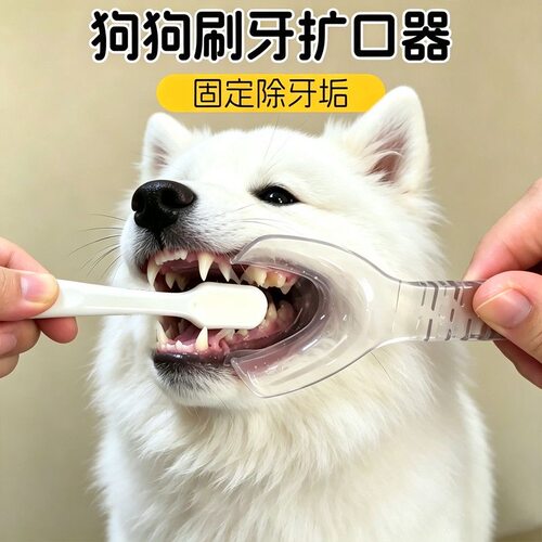 狗狗刷牙辅助器扩口器宠物猫咪口腔清洁固定除牙垢牙结石侧边开口