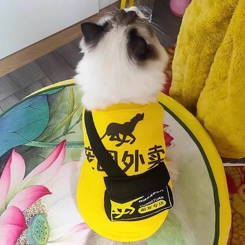宠物猫咪衣服布偶搞笑送外卖春秋