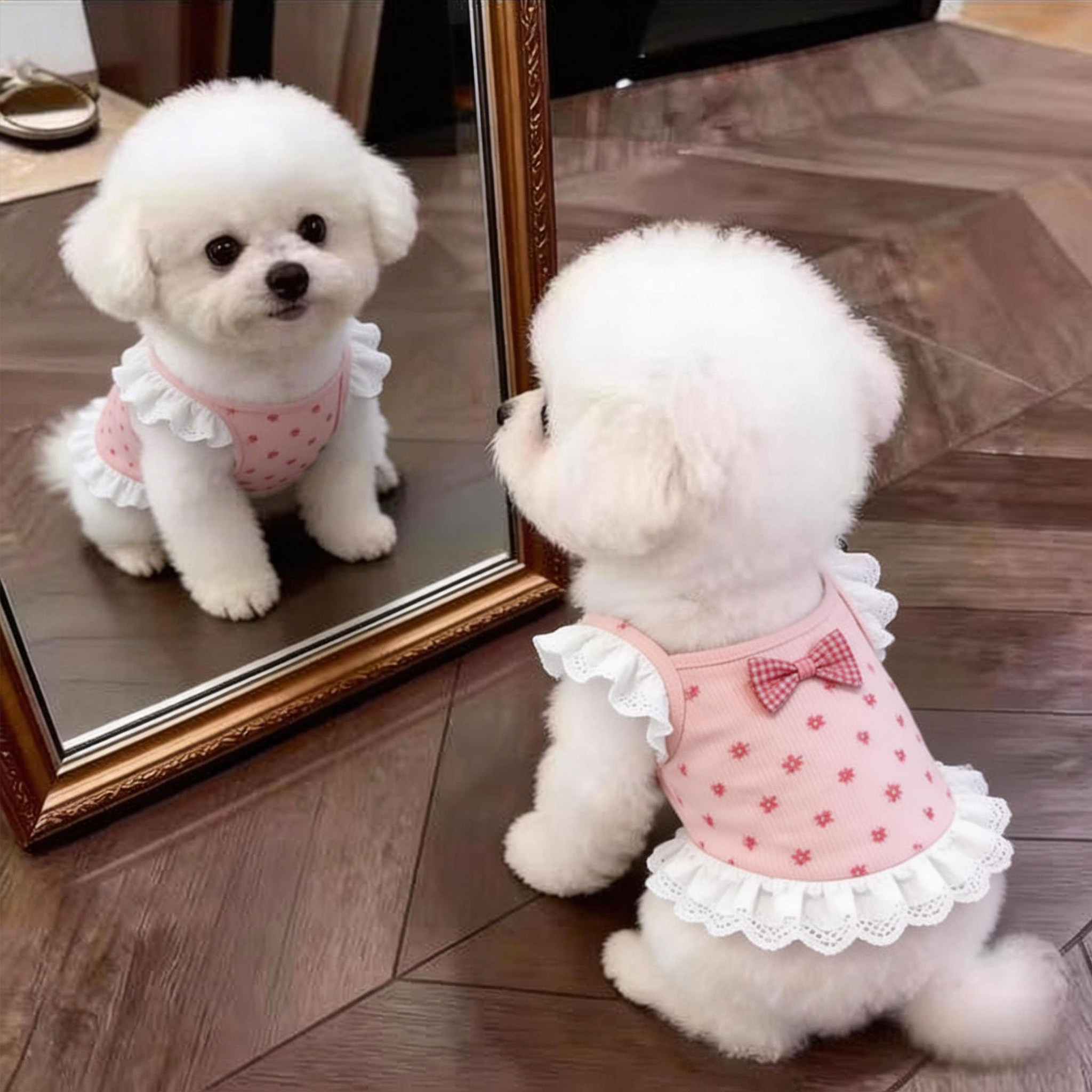 狗狗衣服薄款夏天裙子泰迪比熊雪纳瑞小型犬猫咪公主裙宠物防掉毛图片