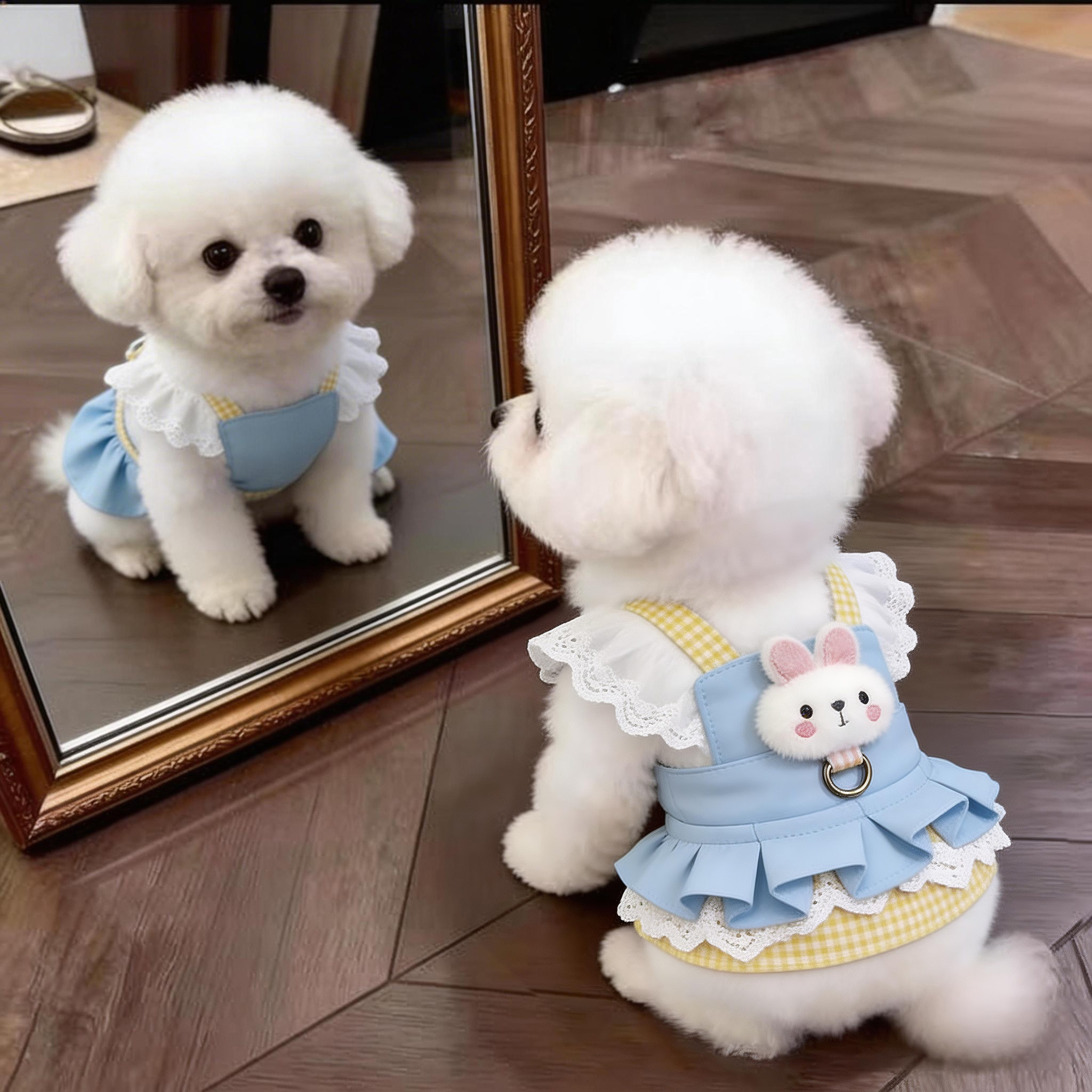 狗狗衣服薄款夏天泰迪比熊雪纳瑞小型犬猫咪裙子可牵引宠物凉凉衣图片