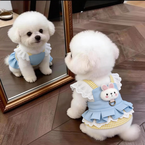 狗狗衣服薄款夏天泰迪比熊雪纳瑞小型犬猫咪裙子可牵引宠物凉凉衣