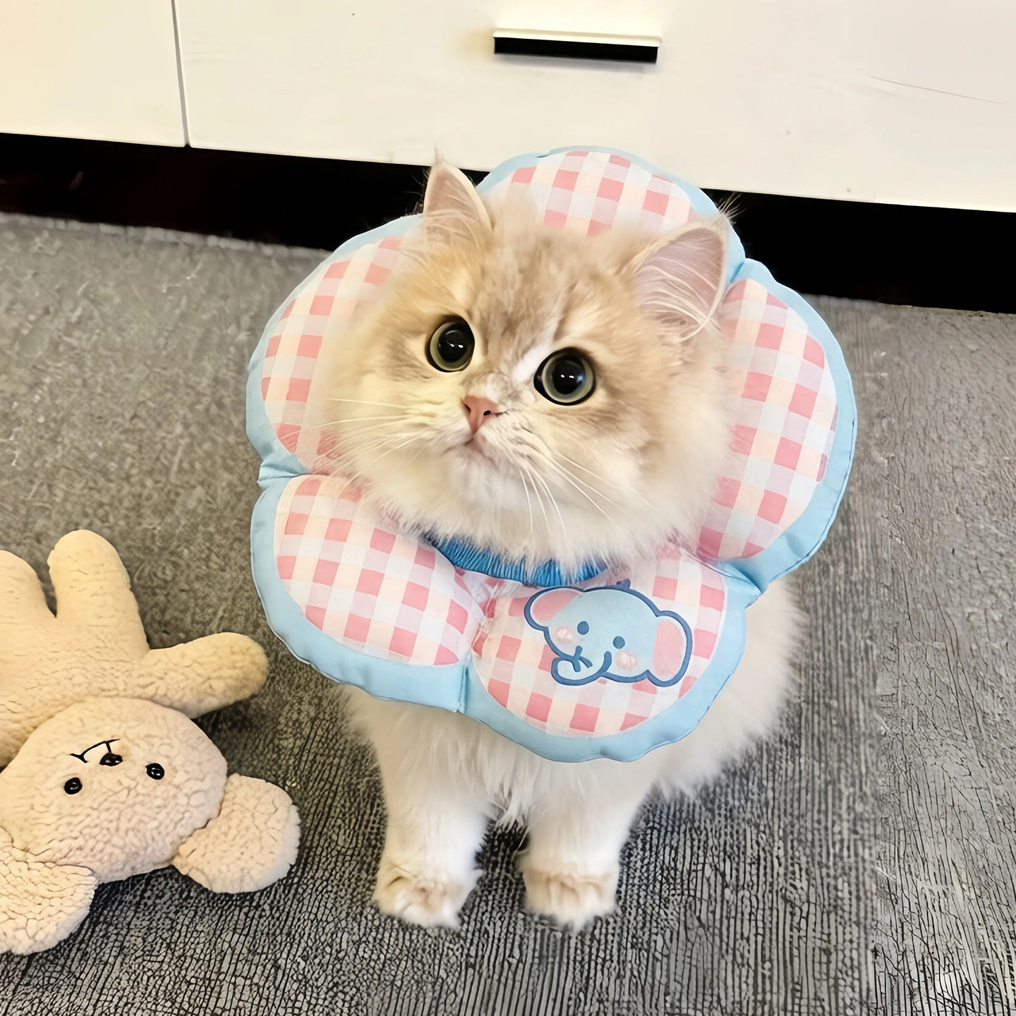 伊丽莎白圈软圈猫咪绝育项圈防水防咬小狗狗头套防舔神器宠物脖圈图片