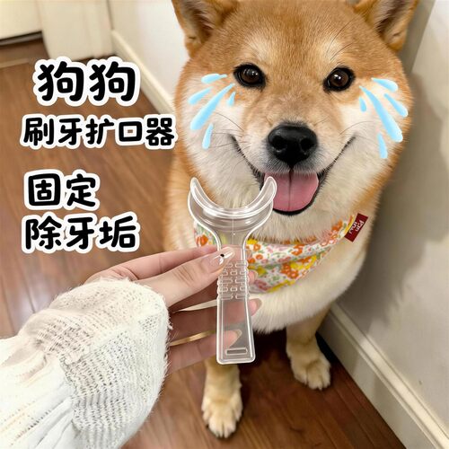 狗狗刷牙辅助器刷牙固定器口腔清洁辅助除牙垢开口器侧边扩口牙具