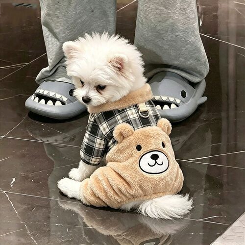 狗狗衣服秋冬款毛绒小熊泰迪比熊博美小型犬保暖宠物四脚衣可牵引