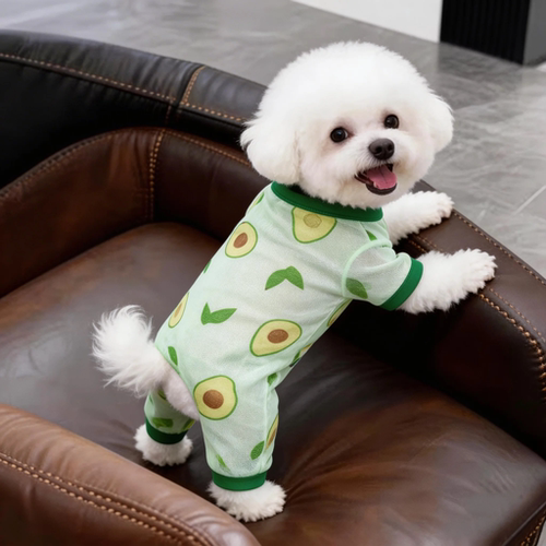 狗狗衣服夏季薄款透气防晒衫泰迪比熊小型犬猫咪宠物四脚衣防掉毛