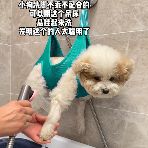 狗狗洗脚神器防抓咬固定器中小型