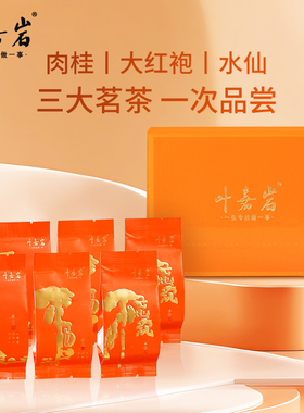 叶嘉岩 不慌茶肉桂岩茶武夷山大红袍口粮乌龙茶自饮老枞水仙6泡装