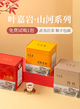 叶嘉岩浓香肉桂武夷岩茶老枞水仙乌龙茶花果香大红袍口粮茶叶450g