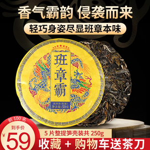 云南古树头春头采笋壳包装班章霸普洱生茶一提5饼250g珍