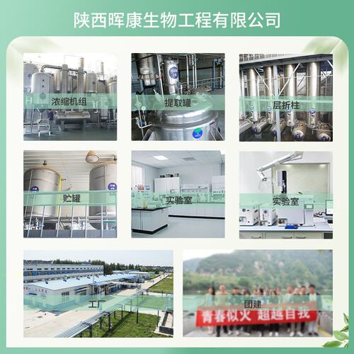 仙人掌果粉 98% 仙人掌汁粉 SC工厂 晖康生物 现货供应