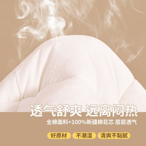 新疆棉花褥子床垫里外全棉垫被软垫家用榻榻米棉花垫被褥铺底