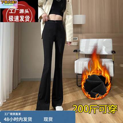 冬季加绒微喇叭女裤胖mm高个子加长款大码休闲垂感显瘦西装马蹄裤