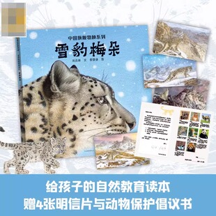 雪豹梅朵 儿童童书绘本故事幼儿园书5-10岁幼儿园一年级早教书故事书幼儿园老师睡前故事认知儿童绘本书